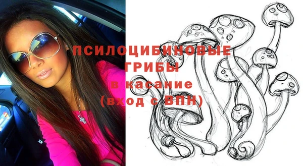 дурь Абаза
