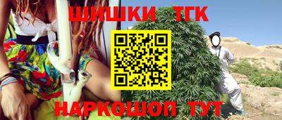 индика Пыть-Ях