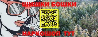 индика Пыть-Ях