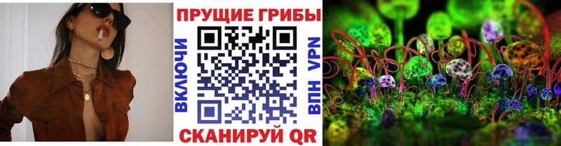 Псилоцибиновые грибы прущие грибы  Рассказово 