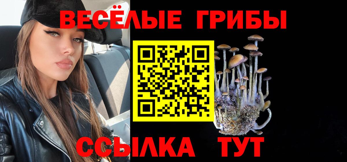 Галлюциногенные грибы Cubensis  Вход с VPN  Галлюциногенные грибы Psilocybe  Рассказово 